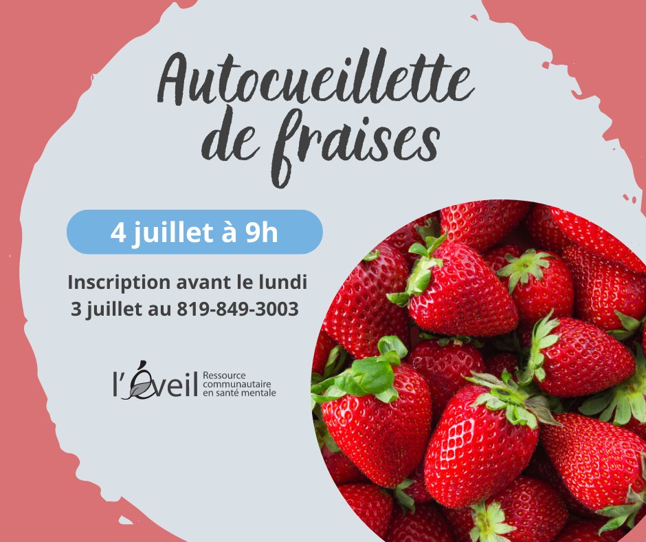 Autocueillette de fraises